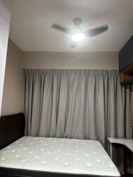 Laurel Tree (D23), Apartment #510799741